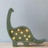 Handmade Small Dinosaur Lamp