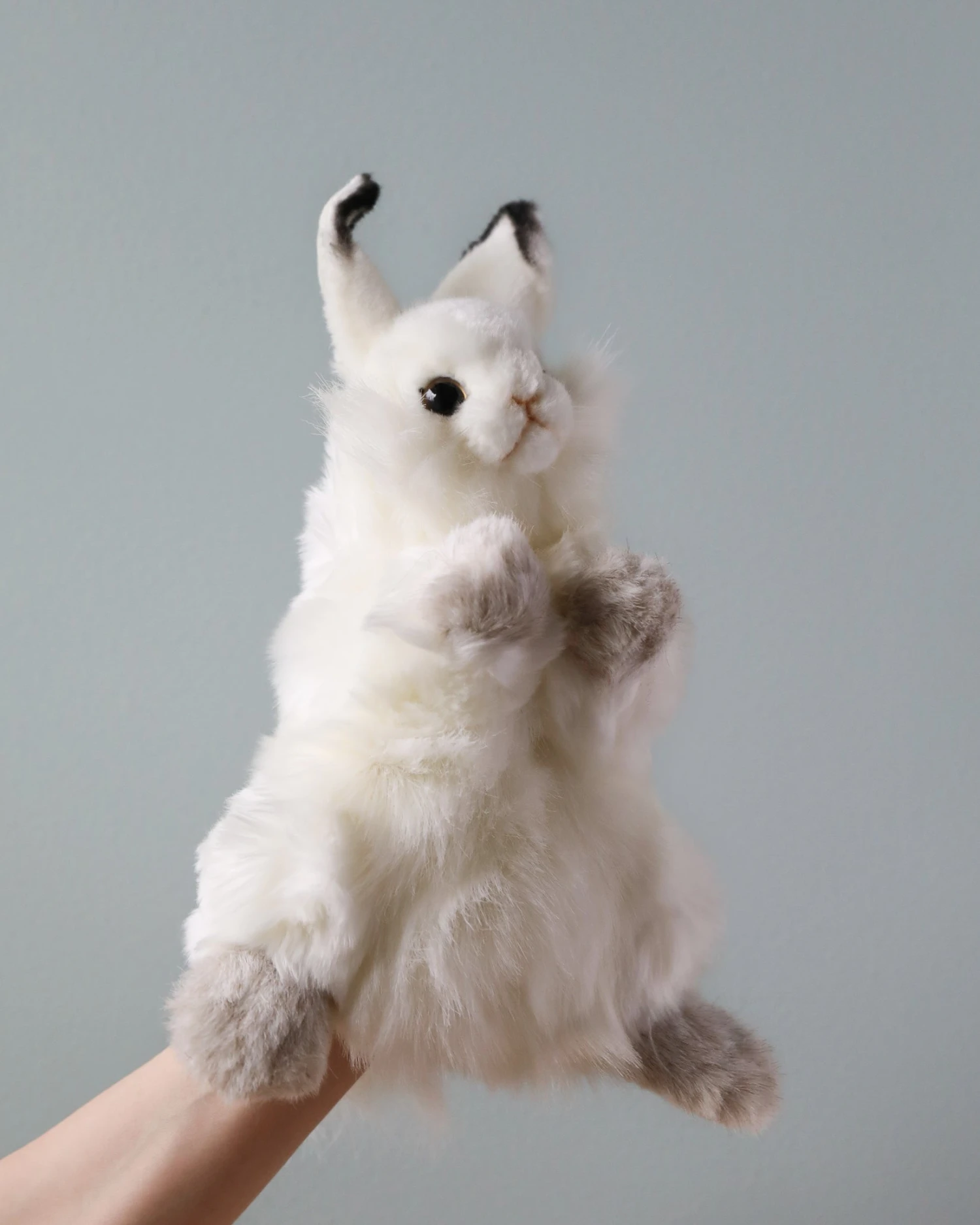 Hansa Bunny Puppet - Image 3