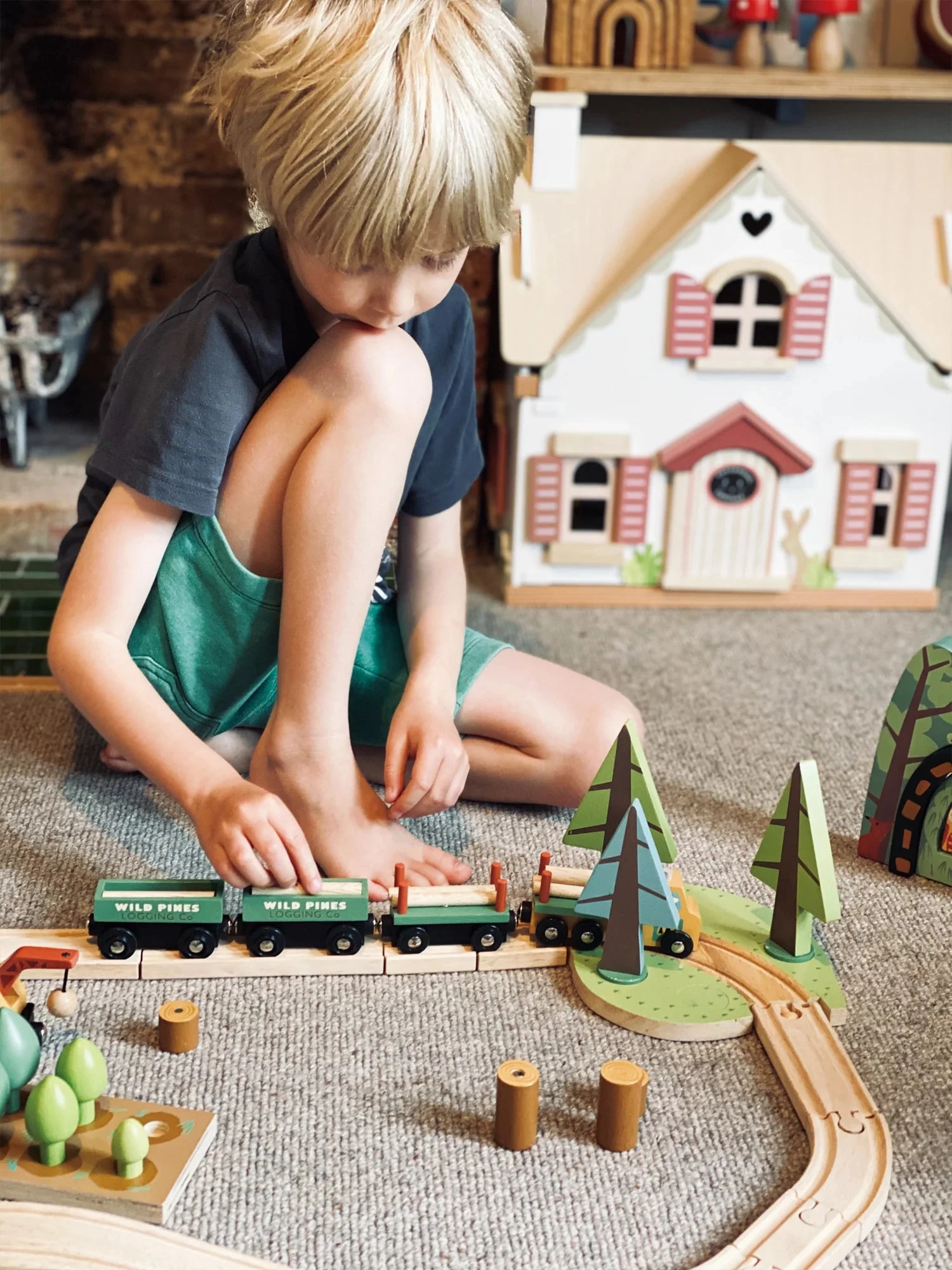 Tender Leaf Toys Wild Pines Train Set - Image 5